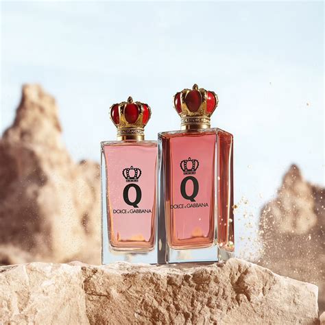 dolce gabbana queen intense|dolce and gabbana q intense.